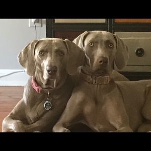 Meet your Posher, Shawn